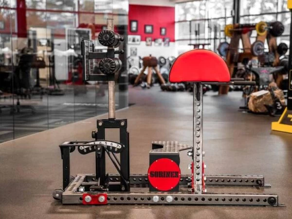 Sorinex Glute Ham Developer 3 Sorinex Glute Ham Developer