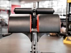 Sorinex Glute Ham Developer 21 Sorinex Glute Ham Developer -Fitness Craze 66e8ba8216a1e152d72653d99a4f03ab 5d0a756ae9231 600x450 1