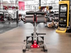 Sorinex Glute Ham Developer 22 Sorinex Glute Ham Developer -Fitness Craze 66e8ba8216a1e152d72653d99a4f03ab 5d0a756aeec35 600x450 1