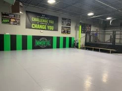 AK Athletic Equipment 24' X 24' Roll-Up Wrestling Mat 10 AK Athletic Equipment 24' X 24' Roll-Up Wrestling Mat -Fitness Craze IMG 1541