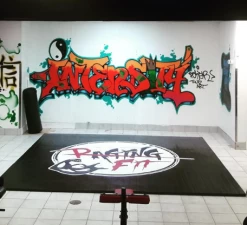 AK Athletic Equipment Your Design Digitally Printed 12' X 12' Roll Up Light Weight Wrestling Mat