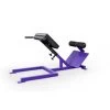 EliteFTS Scholastic 45 Degree Back Raise -Fitness Craze d6288499d0083cc34e60a077b7c4b3e1 5d0a7576cb935 600x600 1